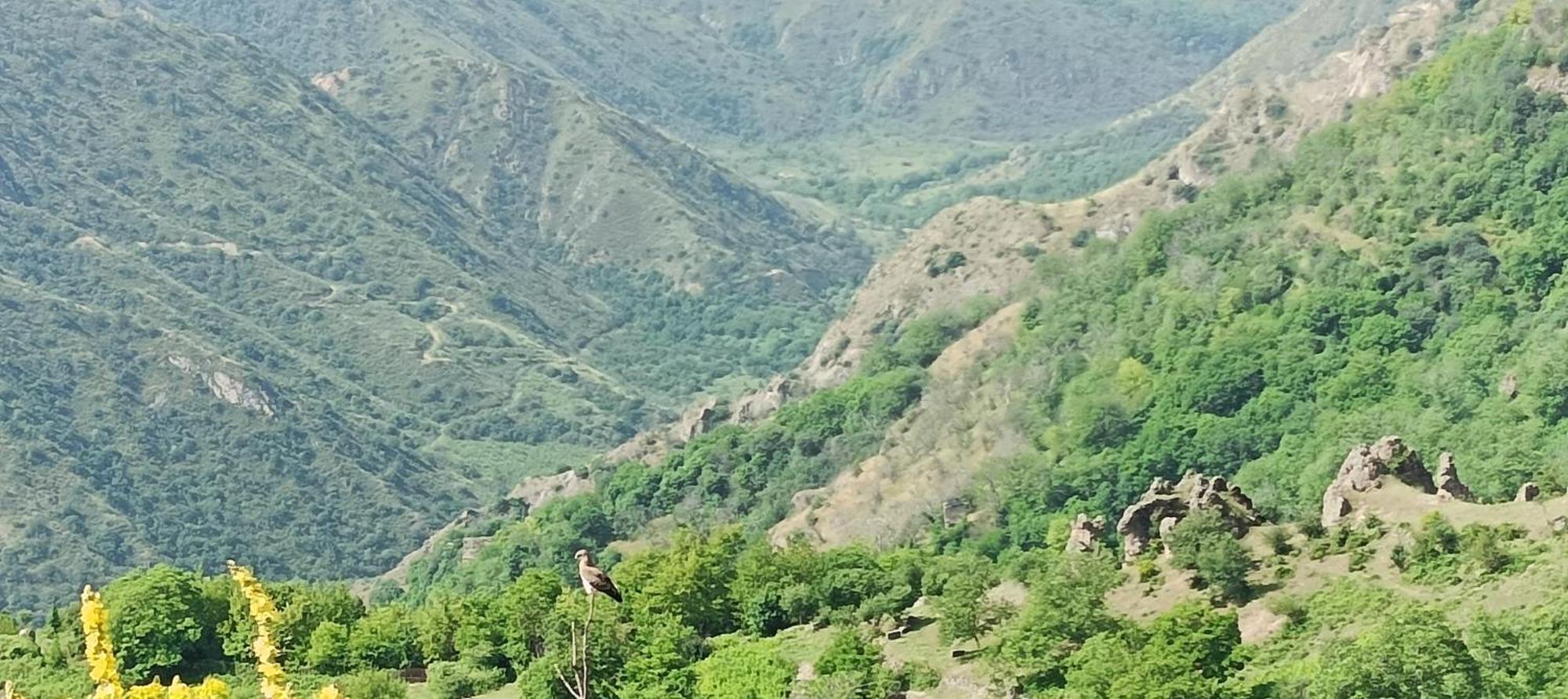 Kirch Hotel & Restaurant Горис Экстерьер фото